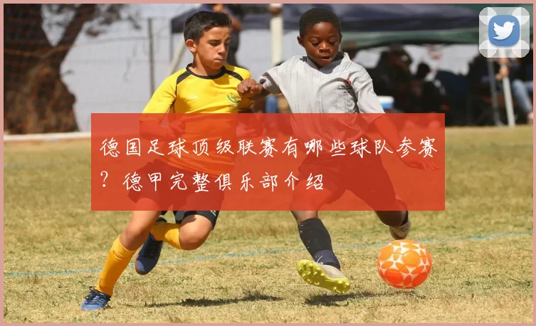 德国足球顶级联赛有哪些球队参赛？德甲完整俱乐部介绍