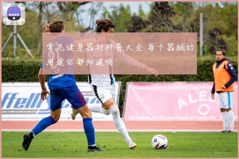 常见健身器材科普大全 每个器械的用途你都知道吗