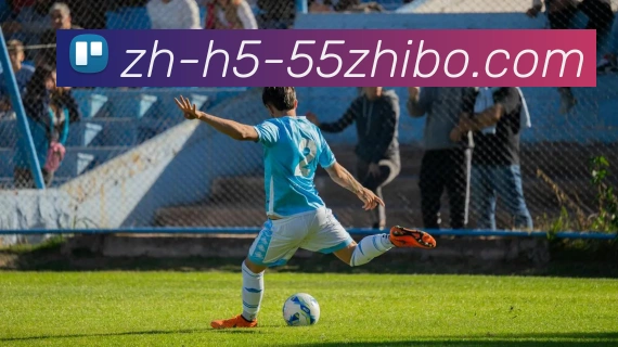 55直播服务体系